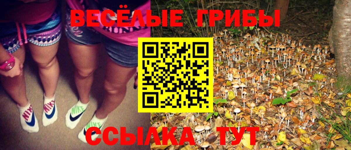 Псилоцибиновые грибы мухоморы  Вход с VPN  Аргун 